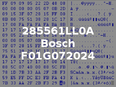 285561LL0A Bosch F01G072024