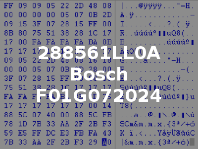 288561LL0A Bosch F01G072024