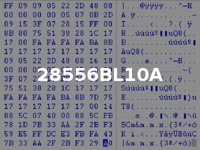 28556BL10A