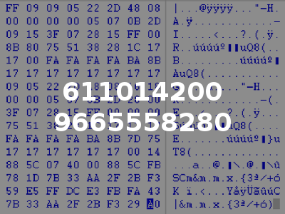 611014200 9665558280