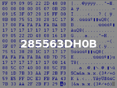 285563DH0B