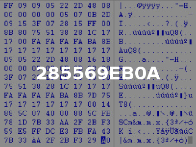 285569EB0A