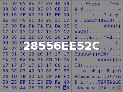 28556EE52C