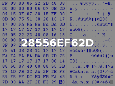 28556EF62D