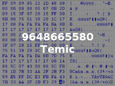 9648665580 Temic