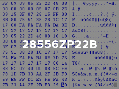 28556ZP22B