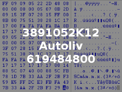 3891052K12 Autoliv 619484800