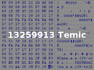 13259913 Temic