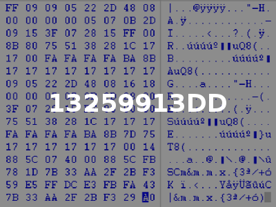 13259913DD