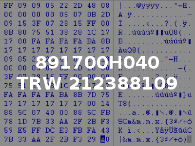 891700H040 TRW 212388109