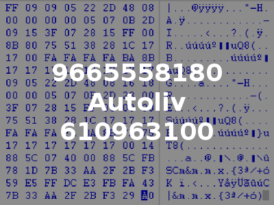 9665558180 Autoliv 610963100