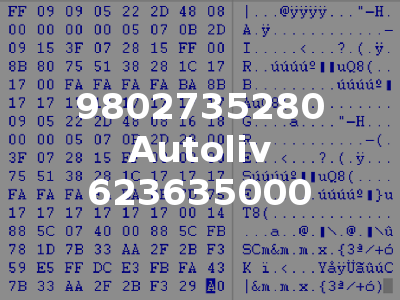 9802735280 Autoliv 623635000