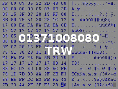 01371008080 TRW