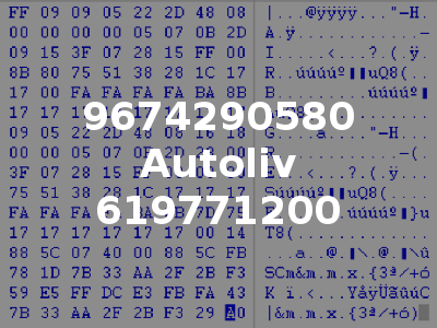 9674290580 Autoliv 619771200