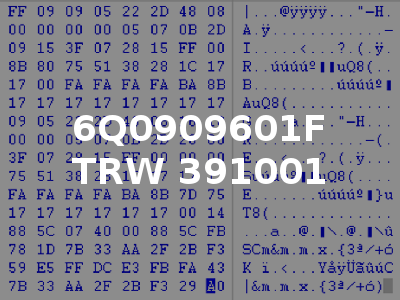 6Q0909601F TRW 391001