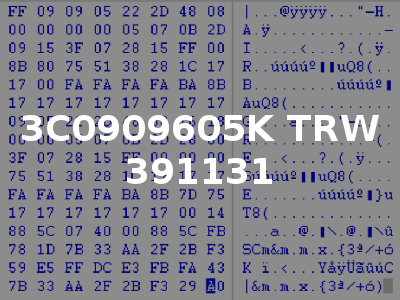 3C0909605K TRW 391131