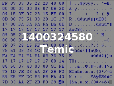 1400324580 Temic