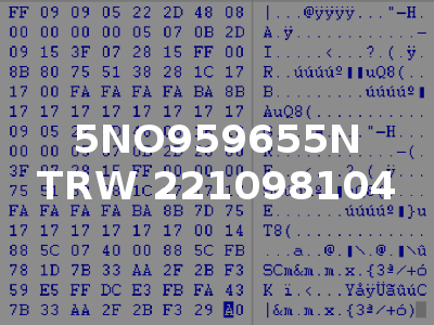 5NO959655N TRW 221098104