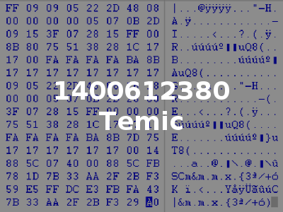1400612380 Temic