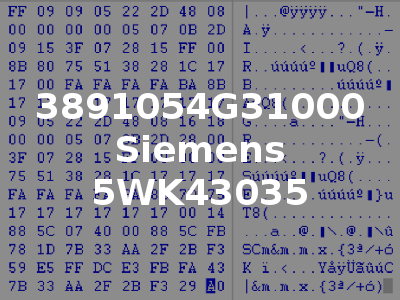 3891054G31000 Siemens 5WK43035