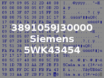 3891059J30000 Siemens 5WK43454