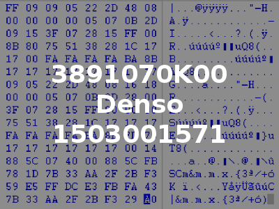 3891070K00 Denso 1503001571