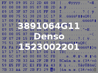 3891064G11 Denso 1523002201