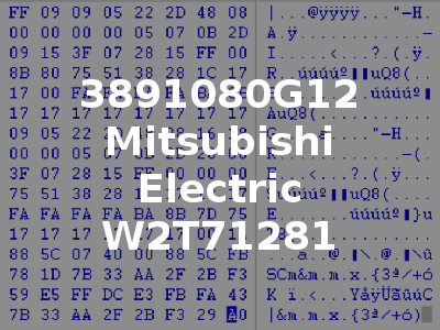 3891080G12 Mitsubishi Electric W2T71281