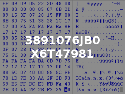 3891076JB0 X6T47981