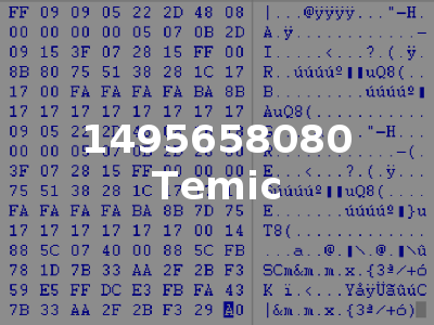 1495658080 Temic
