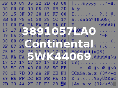 3891057LA0 Continental 5WK44069