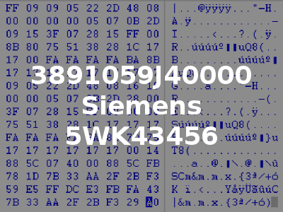 3891059J40000 Siemens 5WK43456