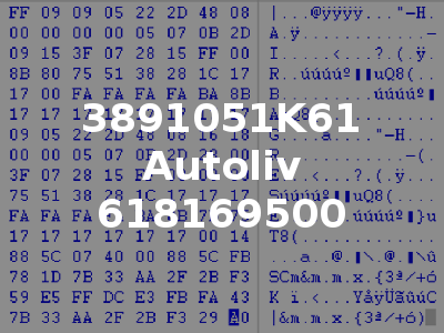 3891051K61 Autoliv 618169500