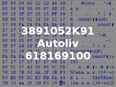 3891052K91 Autoliv 618169100