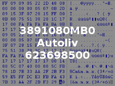 3891080MB0 Autoliv 623698500