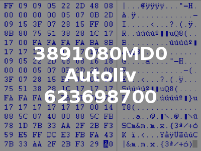 3891080MD0 Autoliv 623698700