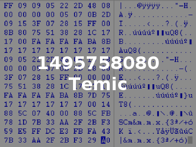 1495758080 Temic