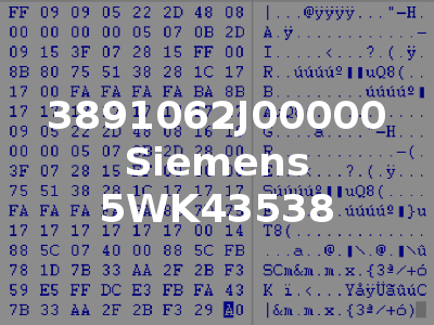 3891062J00000 Siemens 5WK43538