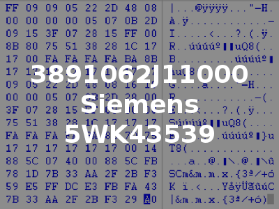 3891062J11000 Siemens 5WK43539