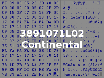 3891071L02 Continental