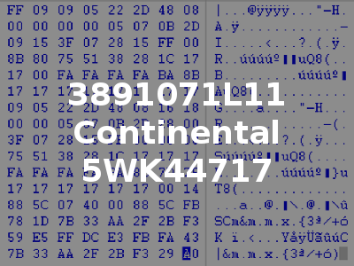 3891071L11 Continental 5WK44717