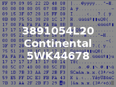 3891054L20 Continental 5WK44678