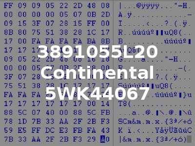 3891055L20 Continental 5WK44067
