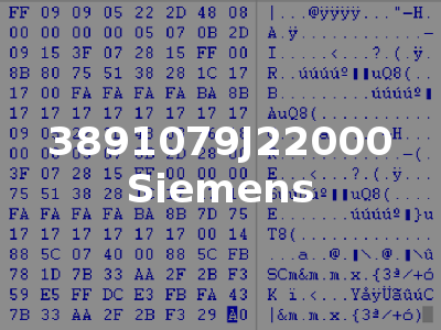 3891079J22000 Siemens