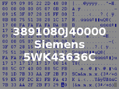 3891080J40000 Siemens 5WK43636C