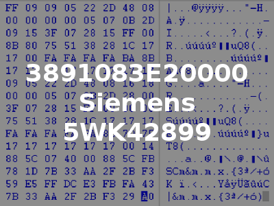 3891083E20000 Siemens 5WK42899