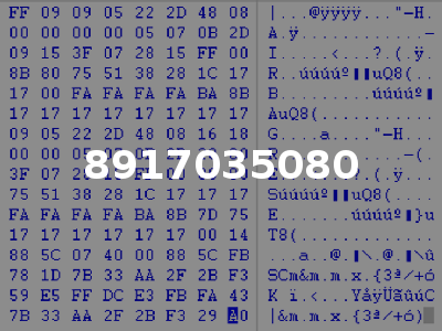 8917035080