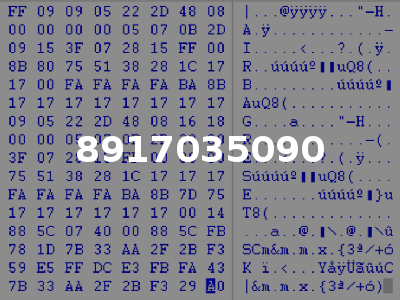 8917035090