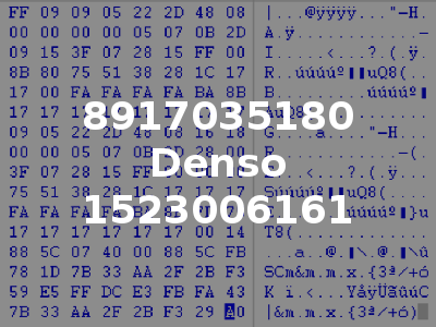 8917035180 Denso 1523006161