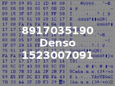 8917035190 Denso 1523007091